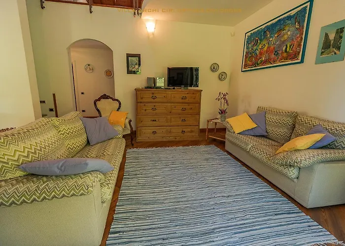 Archi * كوليكو